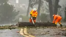 Pekerja CalTrans membersihkan pohon tumbang yang memblokir lalu lintas di State Highway 68, Monterey, California, Amerika Serikat, 31 Desember 2022. Badai dahsyat yang menerjang California menyebabkan banjir, pohon tumbang, hingga tanah longsor. (AP Photo/Nic Coury)