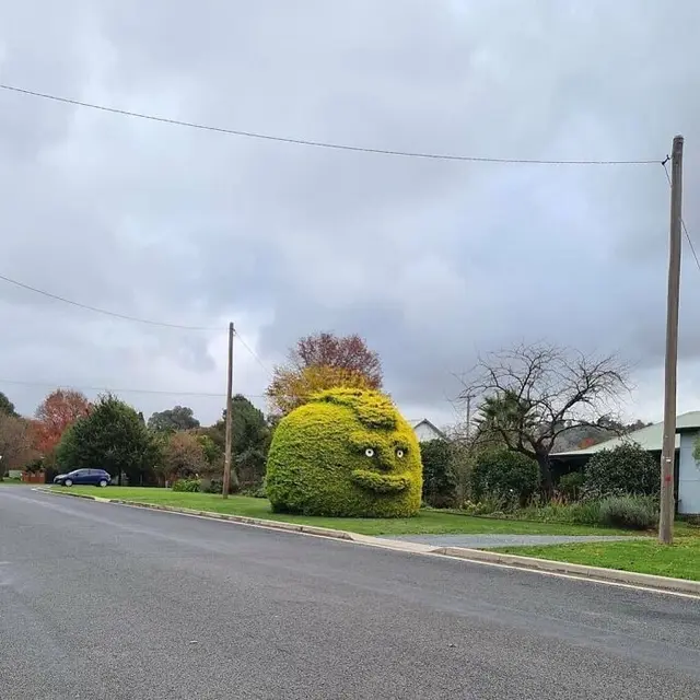 7 Potret Desain Taman Ini Bentuknya Nyeleneh Mirip Monster, Bikin Kaget