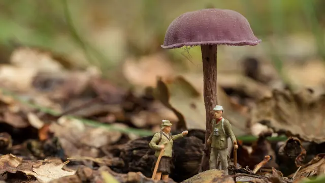 6 Potret Miniatur Gambarkan Keseharian Ini Bikin Kagum, Bak Sungguhan
