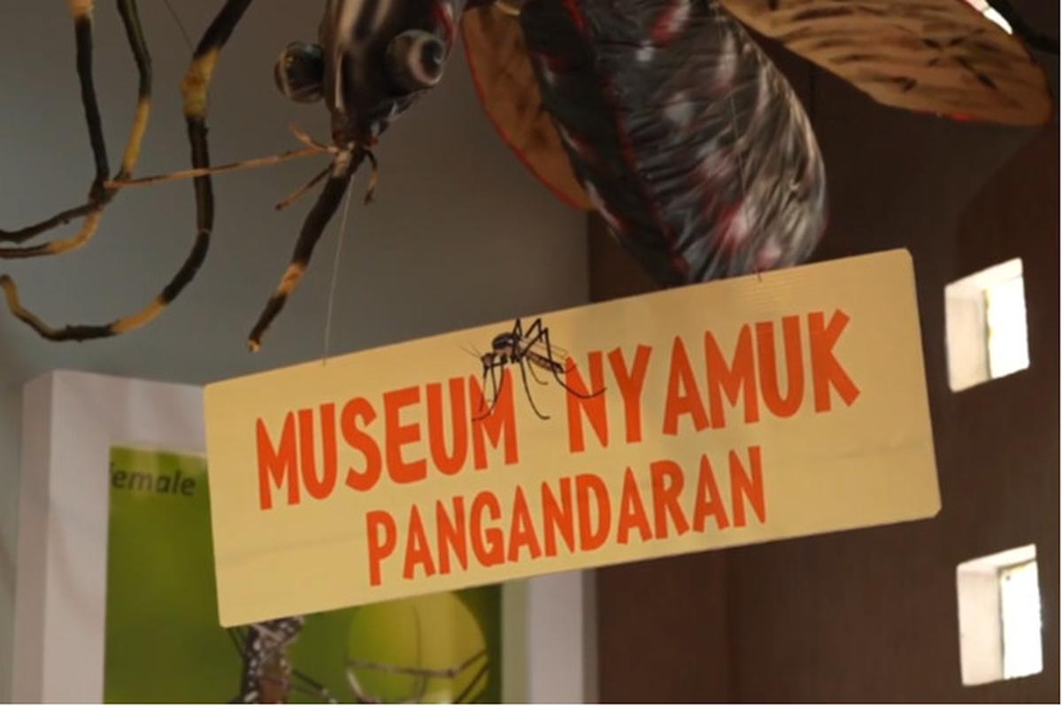 Museum Nyamuk