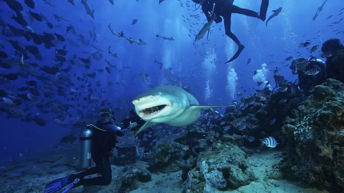 6 Liburan Seru yang Dapat Memacu Adrenalin