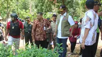 Kepala BNPB Doni Monardo meninjau sentra pembibitan Perhutani, Pati, yang akan ditanam di Pegunungan Kendeng. (Liputan6.com/Ahmad Adirin)