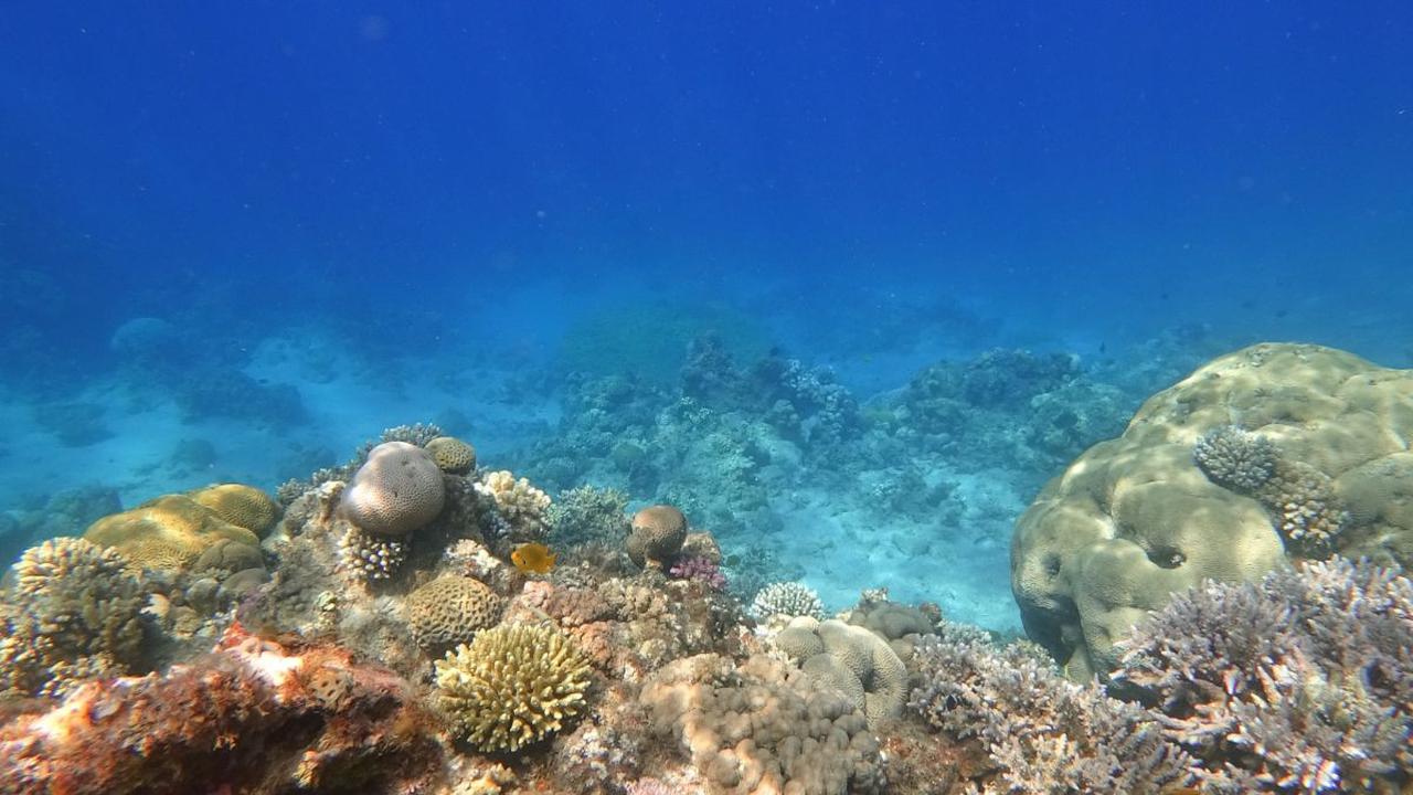 Dari sedikit air laut kuno ini, para peneliti berhasil mengungkap sejarah geologis Bumi.&nbsp;