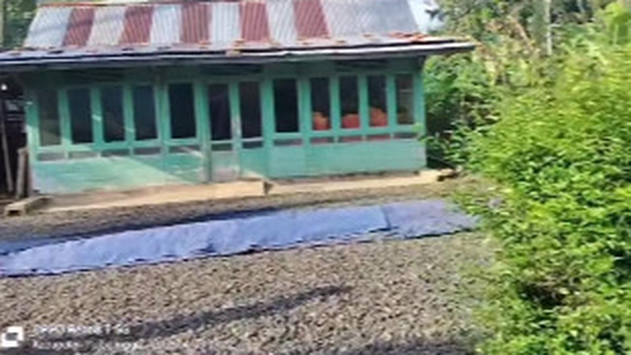 Rumah Kolonel Wahyo