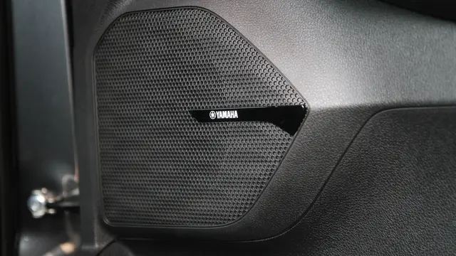 Dynamic Sound Yamaha Premium.