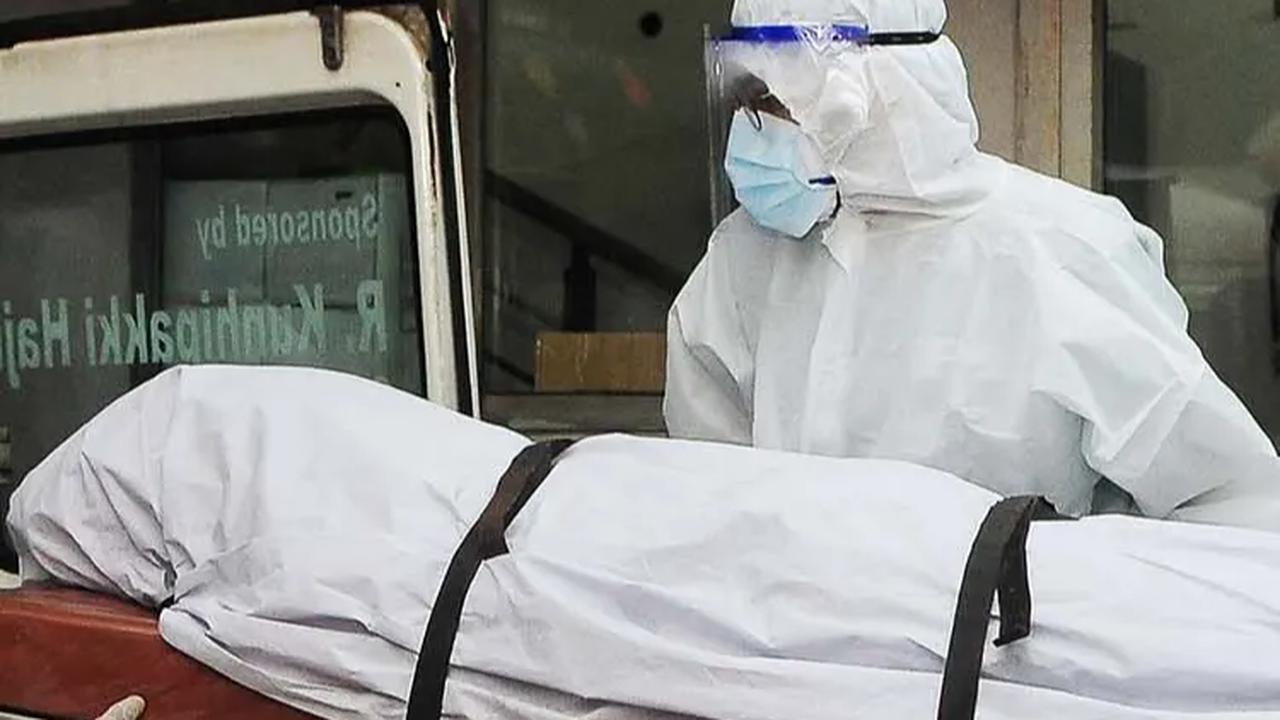 Heboh Virus Nipah di India, Sudahkah Masuk Indonesia?