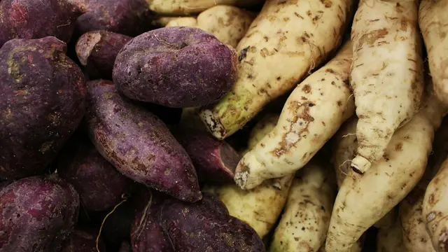 Ubi Ungu, Si Cantik dengan Kandungan Hebat