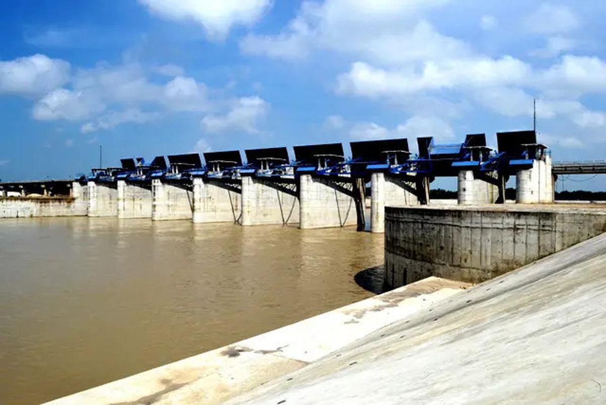 10 Rekomendasi Spot Mancing Nyaman 2025 di Bojonegoro, Mulai dari Bendungan hingga Rawa