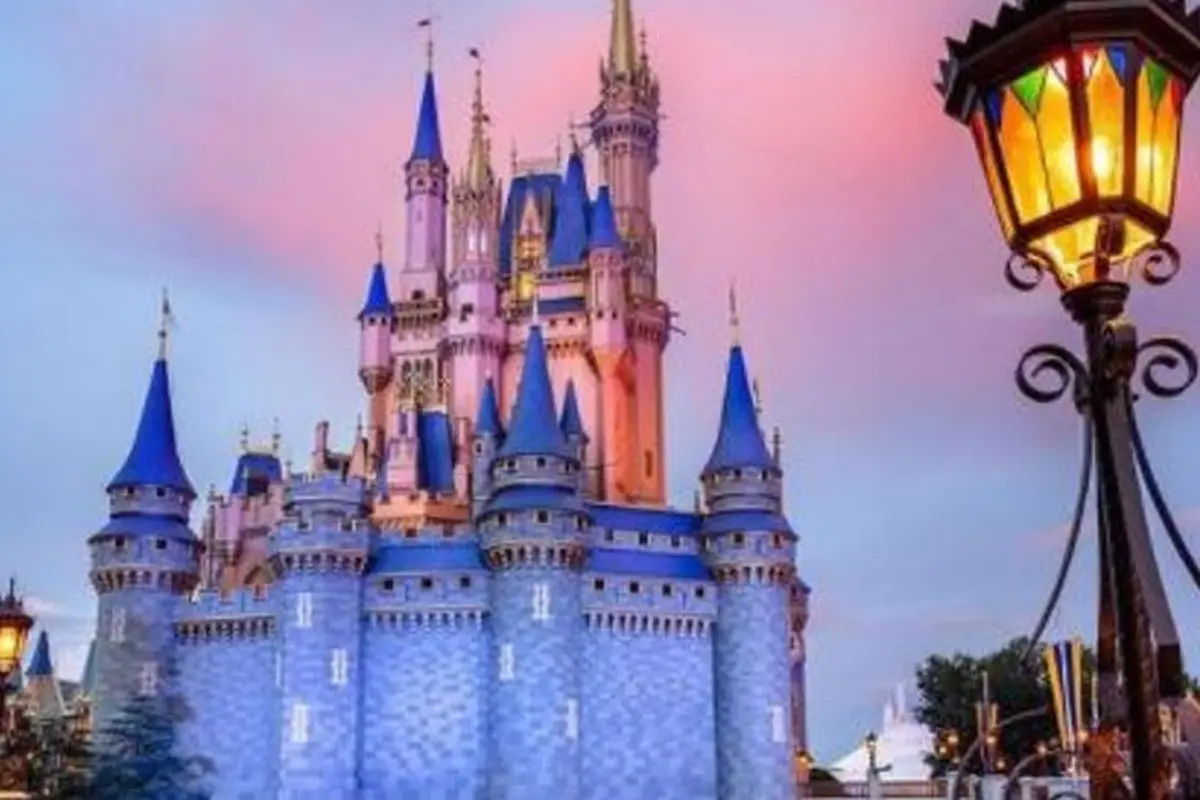 Alasan Disney World Tak Pasang Cermin di Toilet