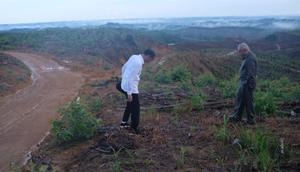 Presiden Jokowi meninjau ibu kota baru di Kecamatan Sepaku, Kabupaten Penajam Paser Utara, Kalimantan Timur, Selasa (17/12/2019).(Liputan6.com/ Lizsa Egeham)