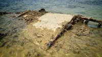 Sayap pesawat pengebom B-25 Mitchell yang jatuh di lepas pantai Darwin selama Perang Dunia II (ABC News/Mitchell Woolnough)