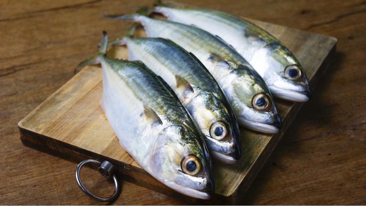 Ikan Tinggi Protein
