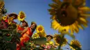 Wisatawan berpose di tengah bunga matahari yang bermekaran di sebuah ladang di Bangkok, Thailand, Rabu (13/1/2016). (REUTERS / Athit Perawongmetha)