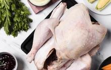 Cara Memasak Ayam Kampung Agar Empuk Tanpa Menggunakan Presto, Hanya Perlu Bahan Dapur Ini
