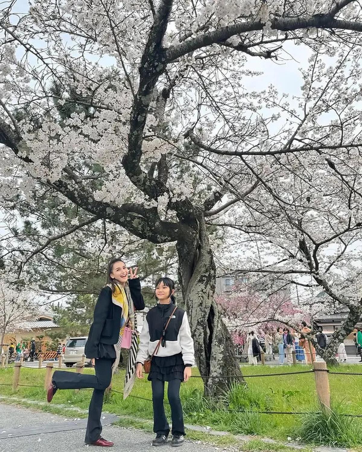 7 Potret Ayu Ting Ting Berburu Sakura di Jepang, Ajak Keluarga Besar