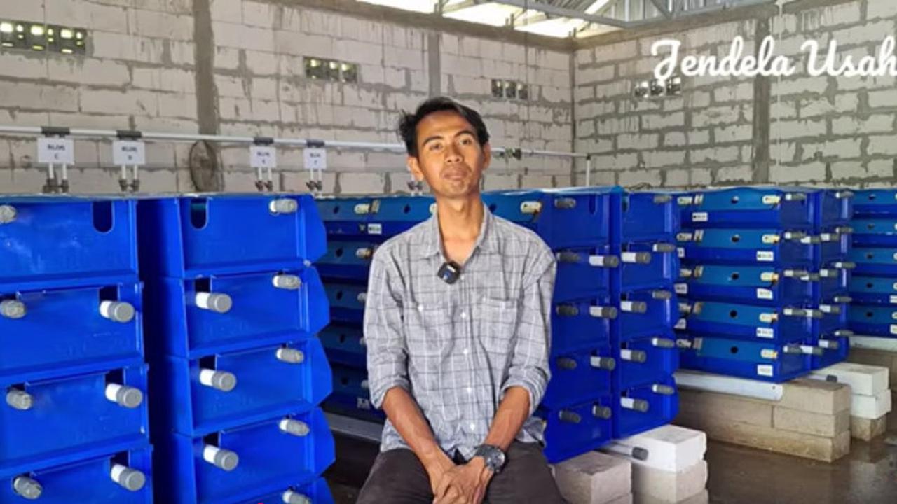 Dulu Kerja di Kantor Pajak, Pria Ini Sukses Usaha Kepiting di Kampung Halaman