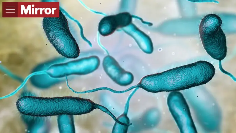 Sekitar 80.000 orang Amerika terinfeksi bakteri ini setiap tahun.