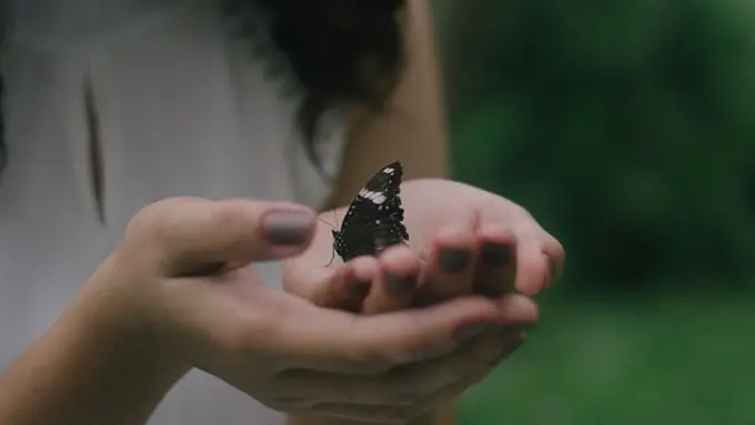 Ilustrasi./Copyright unsplash.com/john reign abarintos