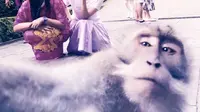 Tak Biasa, Monyet Wefie Bareng Rina Nose di Ubud