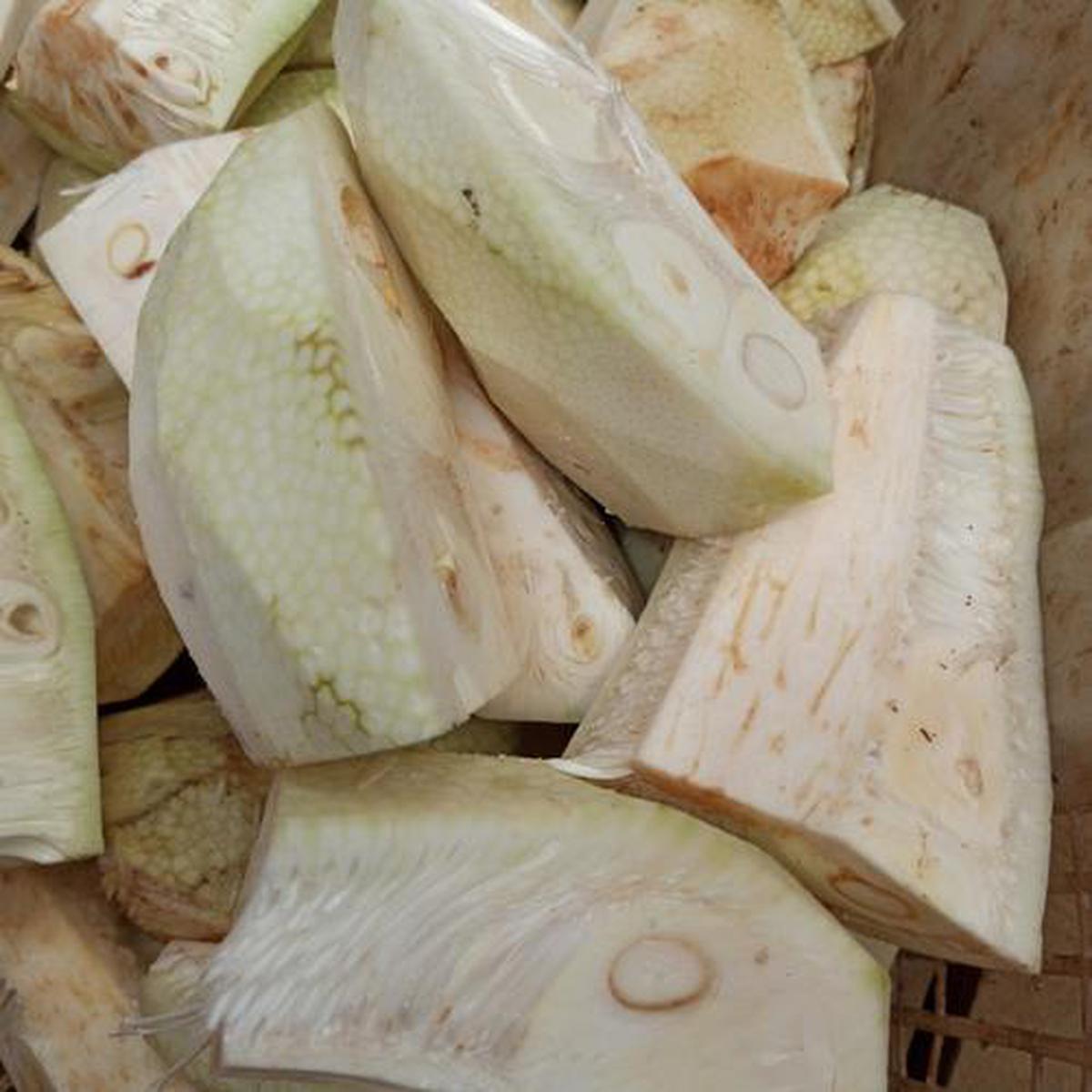 Nangka Muda atau Tewel