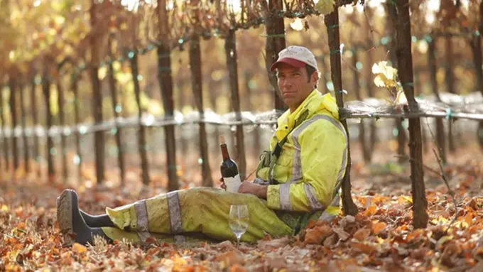 Foto: copyright news.distractify.com