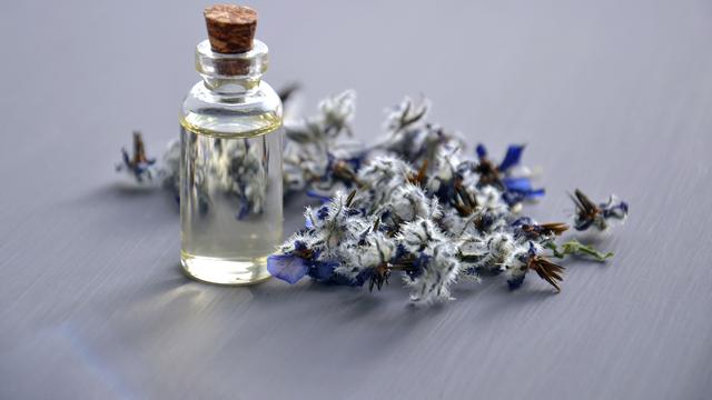 ilustrasi Lavender Essential Oil/pexels.com