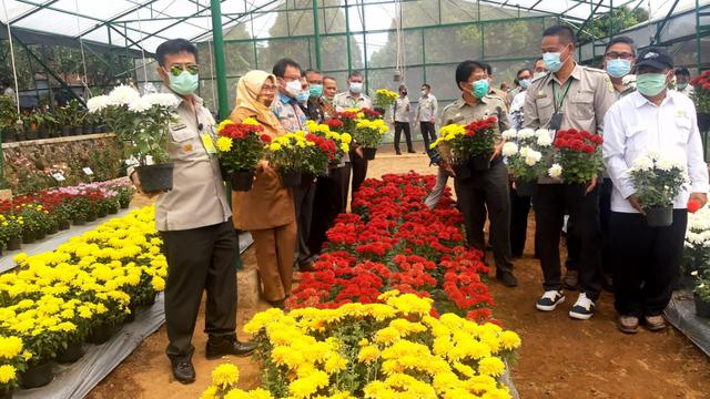 Kementan Pacu Inovasi Tanaman Hias Untuk Ekspor Bisnis Liputan6 Com