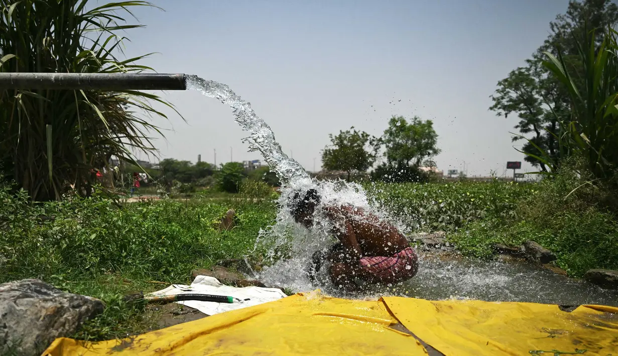 Suhu panas di India sudah berlangsung selama musim panas ini. (Arun SANKAR/AFP)