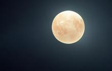 Mengapa Manusia Tak Bisa Tinggal di Venus? Ini Alasannya