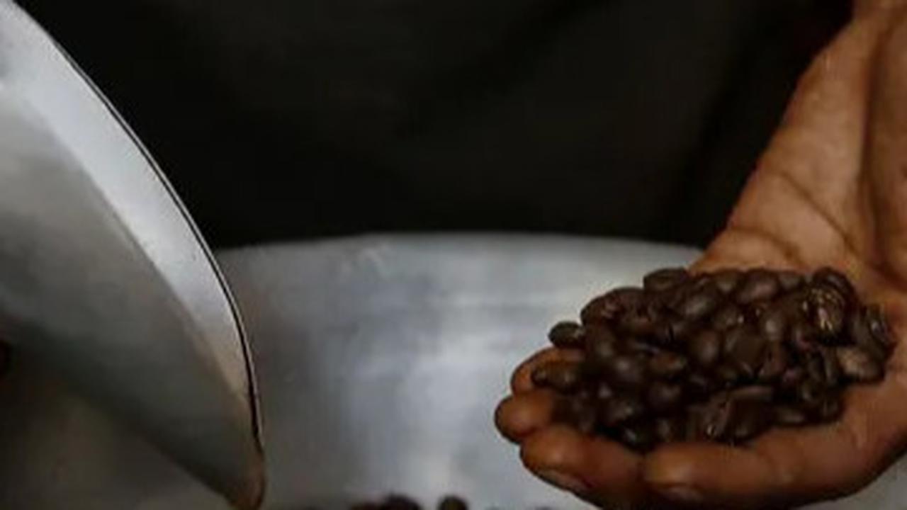 Eksistensi Bis Kota Ditengah Gempuran Kopi Kemasan Sekali Seduh