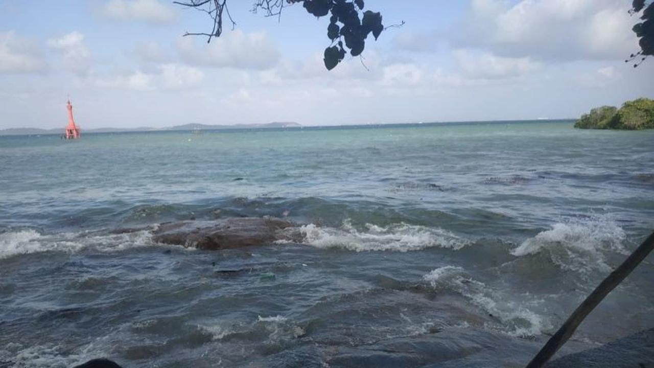 Tumpahan Minyak Cemari Perairan Teluk Sasah Bintan, Ekonomi Warga Terdampak