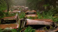 Selama 70 tahun, tumpukan ratusan bangkai kendaraan kuno di hutan Belgia ini menimbulkan kesan angker.