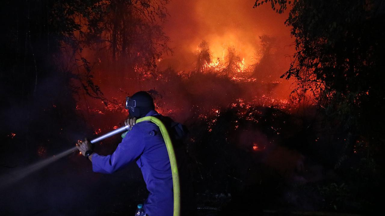 Sejumlah Daerah Dilanda Kebakaran Lahan Gambut