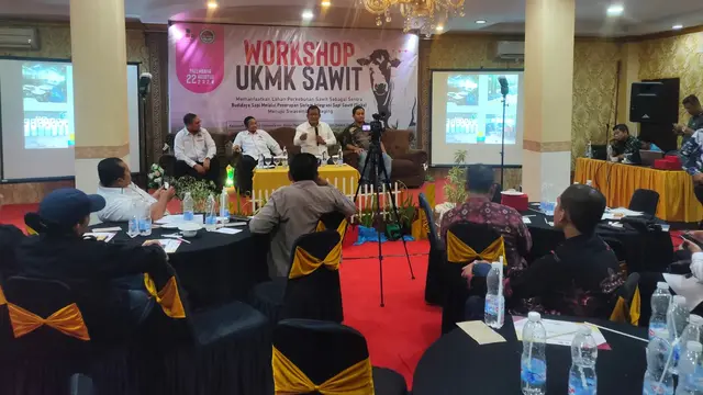 Manfaat Budidaya Sapi Sawit di Musi Banyuasin, dari Pupuk Organik hingga Swasembada Daging