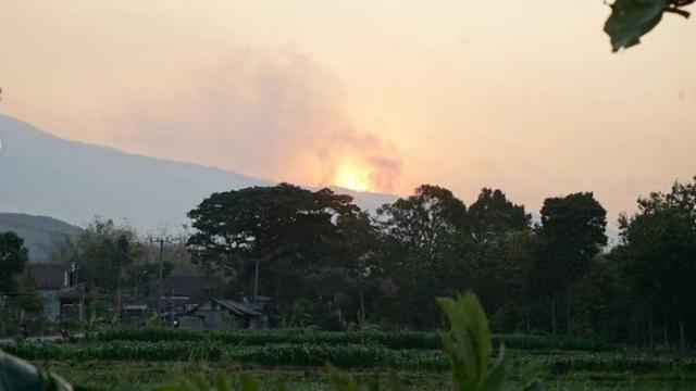 Kebakaran hutan dan lahan di Gunung Lawu. (Istimewa)