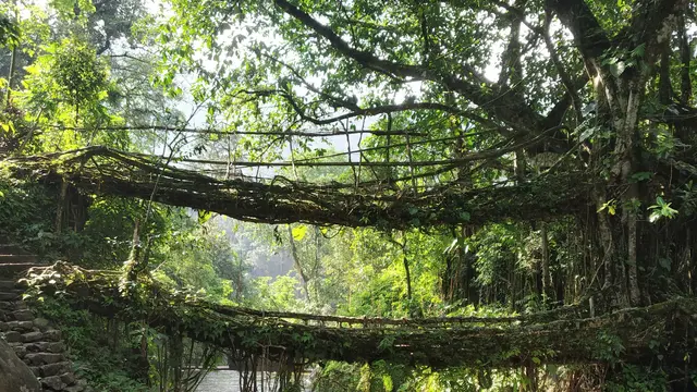 Cherrapunji