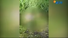Warga Kecamatan Cibinong Bogor, Jawa Barat. Digegerkan oleh penemuan mayat perempuan tanpa identitas dengan tato hello kitty. Korban ditemukan dalam kondisi tangan terikat lakban dan kepala tertutup kantong plastik.