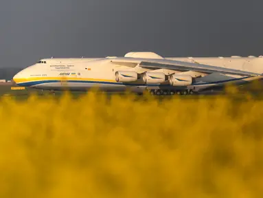 Pesawat Antonov An-225 Mriya berjalan di landasan Vaclav Havel Airport di Praha, Republik Ceko, Kamis (12/5). Pesawat kargo terbesar di dunia ini tengah melakukan penerbangan komersial pertama dari Praha ke Perth, Australia. (REUTERS/David W Cerny)
