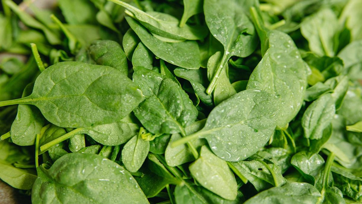 Cara Membuat Bayam Crispy Tanpa Terigu, Tetap Garing Meski Digoreng Tipis