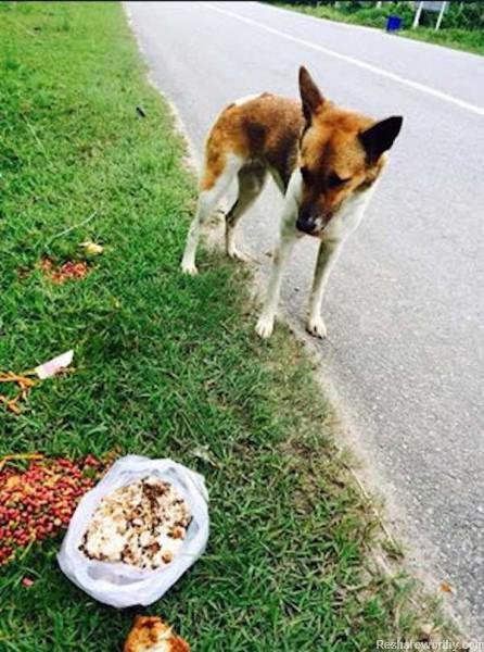 Photo copyright Stomp.com