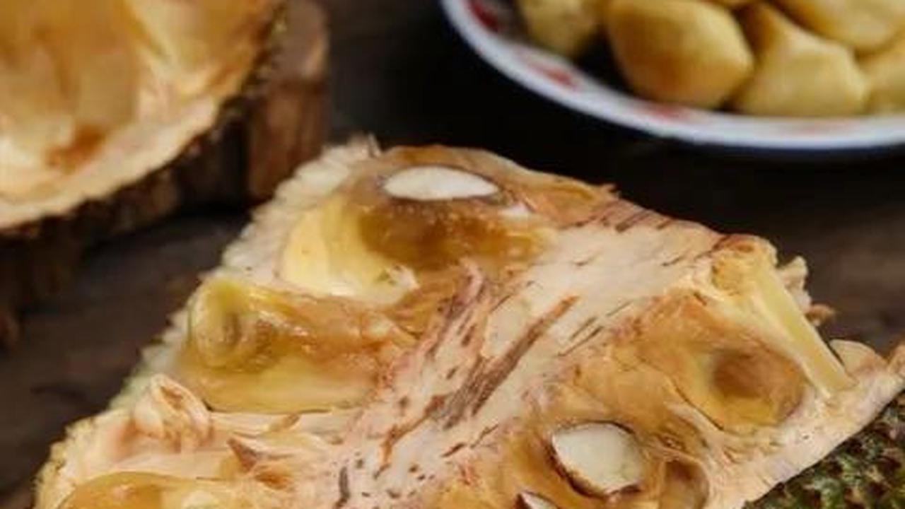 tekstur buah cempedak
