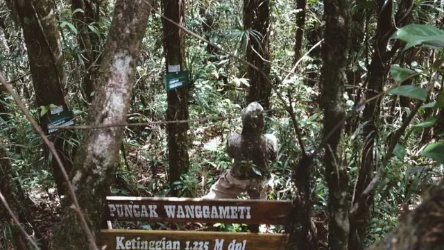 Puncak Gunung Wanggameti di Sumba @agushong