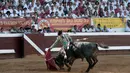 Matador asal Spanyol David Martin Escudero berusaha menenangkan seekor banteng Pedraza de Yeltes selama Festival Dax di Dax Arena, barat daya Prancis (13/8). (AFP Photo/Iroz Gaizka)