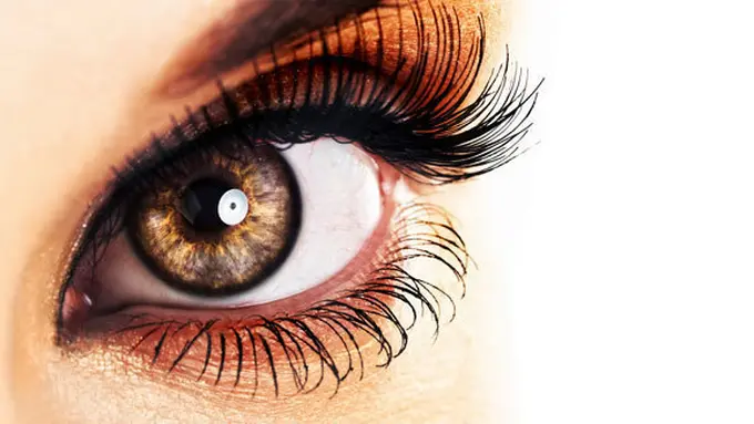 Foto: copyright Thinkstockphotos.com