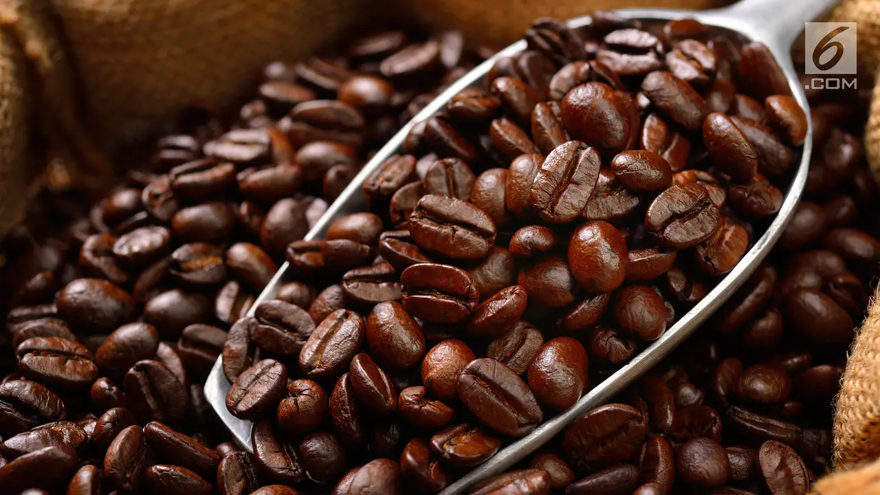 Biji Kopi