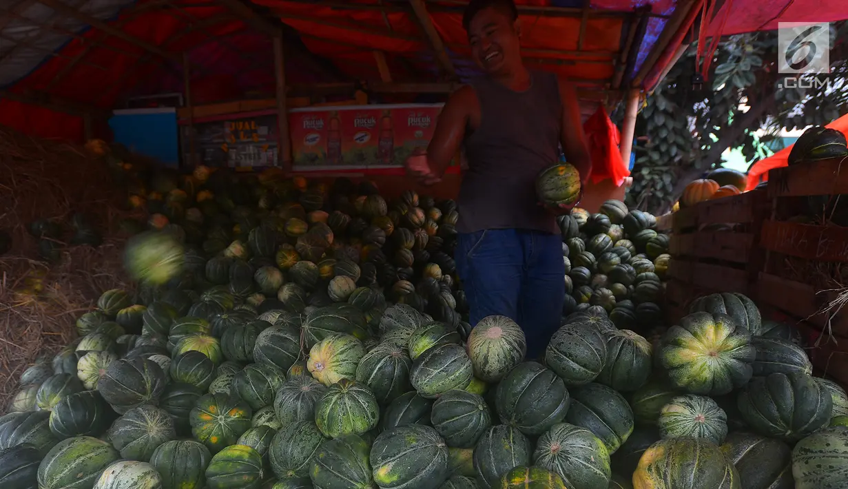 Pedagang menyortir buah blewah yang dijajakan di Pasar Induk Kramat Jati, Jakarta, Kamis (24/5). Harga buah blewah selama bulan suci Ramadan masih stabil dan dijual dengan harga Rp 7.000 per Kg.  (Merdeka.com/Imam Buhori)