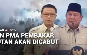 Perusahaan Asing Terancam Kehilangan Izin Jika Terbukti Bakar Hutan