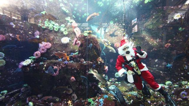 Bikin Kagum, Ini 6 Bandara dengan Interior Paling Megah di Dunia