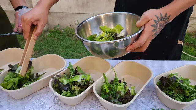 hasil pertanian hidroponik yang dihasilkan oleh Leafy. (Istimewa)