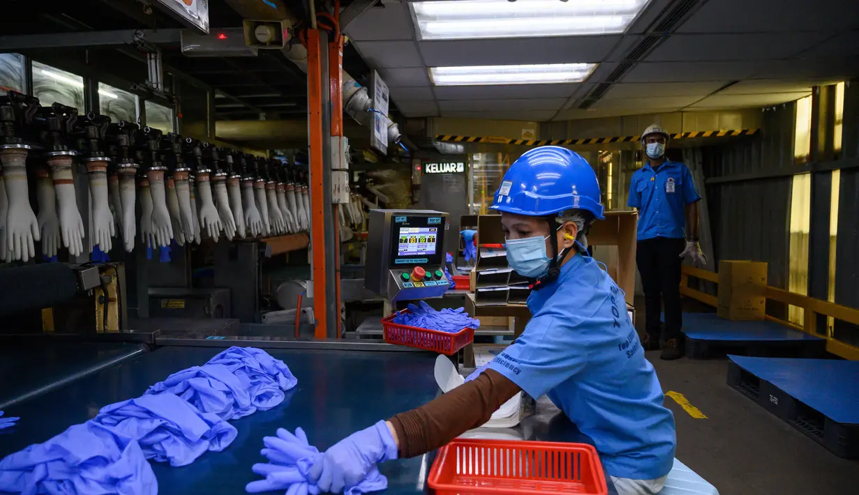 Seorang pekerja memeriksa sarung tangan sekali pakai di pabrik Top Glove di Shah Alam di pinggiran Kuala Lumpur (26/8/2020). Top Glove, sebuah perusahaan yang berbasis di Malaysia adalah salah satu produsen sarung tangan karet terbesar di dunia. (AFP/Mohd Rasfan)